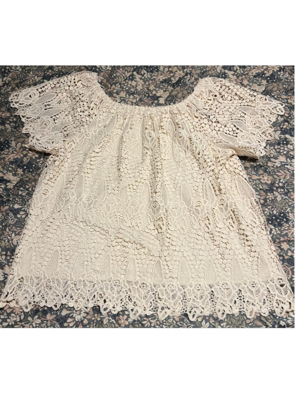 Women's Adiva Lace Off-Shoulder Blouse Beige 3X